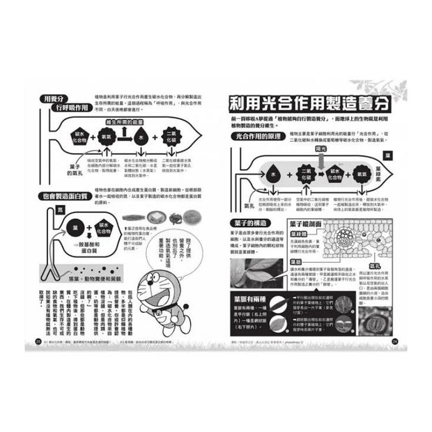 哆啦A夢科學大冒險4：探究植物夢工廠