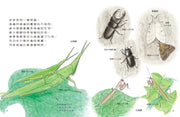 科學不思議套書 (三冊)