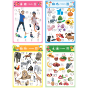 Realistic Bilingual Chinese-English Poster Set (Traditional Chinese and Zhuyin) 實物兒童中英文學習海報組