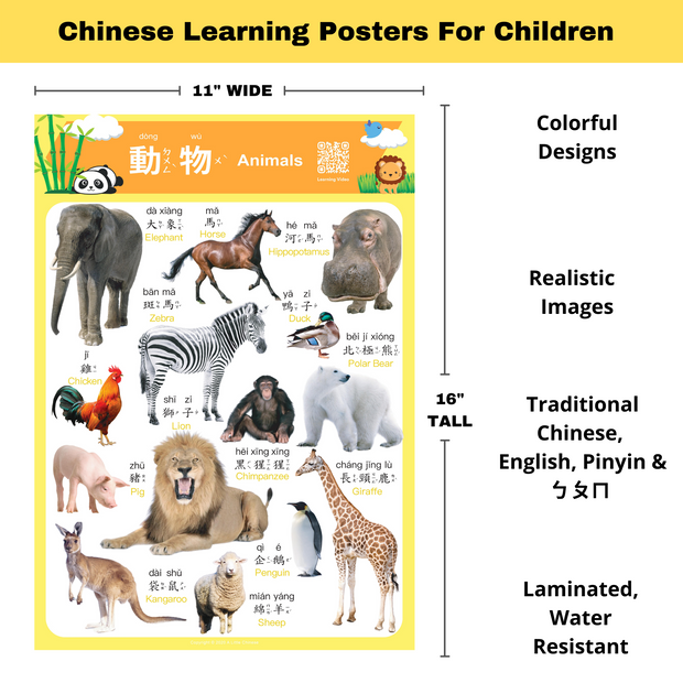 Realistic Bilingual Chinese-English Poster Set (Traditional Chinese and Zhuyin) 實物兒童中英文學習海報組