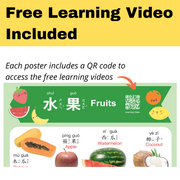 Realistic Bilingual Chinese-English Poster Set (Traditional Chinese and Zhuyin) 實物兒童中英文學習海報組