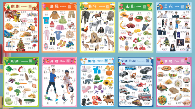 Realistic Bilingual Chinese-English Poster Set (Traditional Chinese and Zhuyin) 實物兒童中英文學習海報組