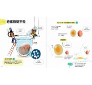 藏在蛋裡的科學